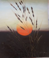 /album/%cf%80%ce%b9%ce%bd%ce%b1%ce%ba%ce%b5%cf%83/sdc12506-jpg/